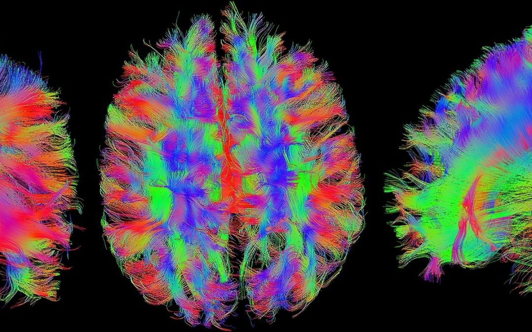 Why We Should Pay Attention to Brain Research