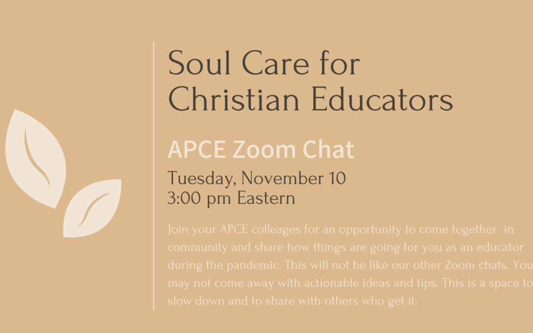 Soul Care for Christian Educators: 11/10