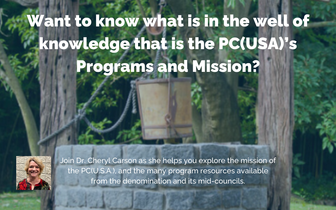 PC(USA) Program and Mission Course